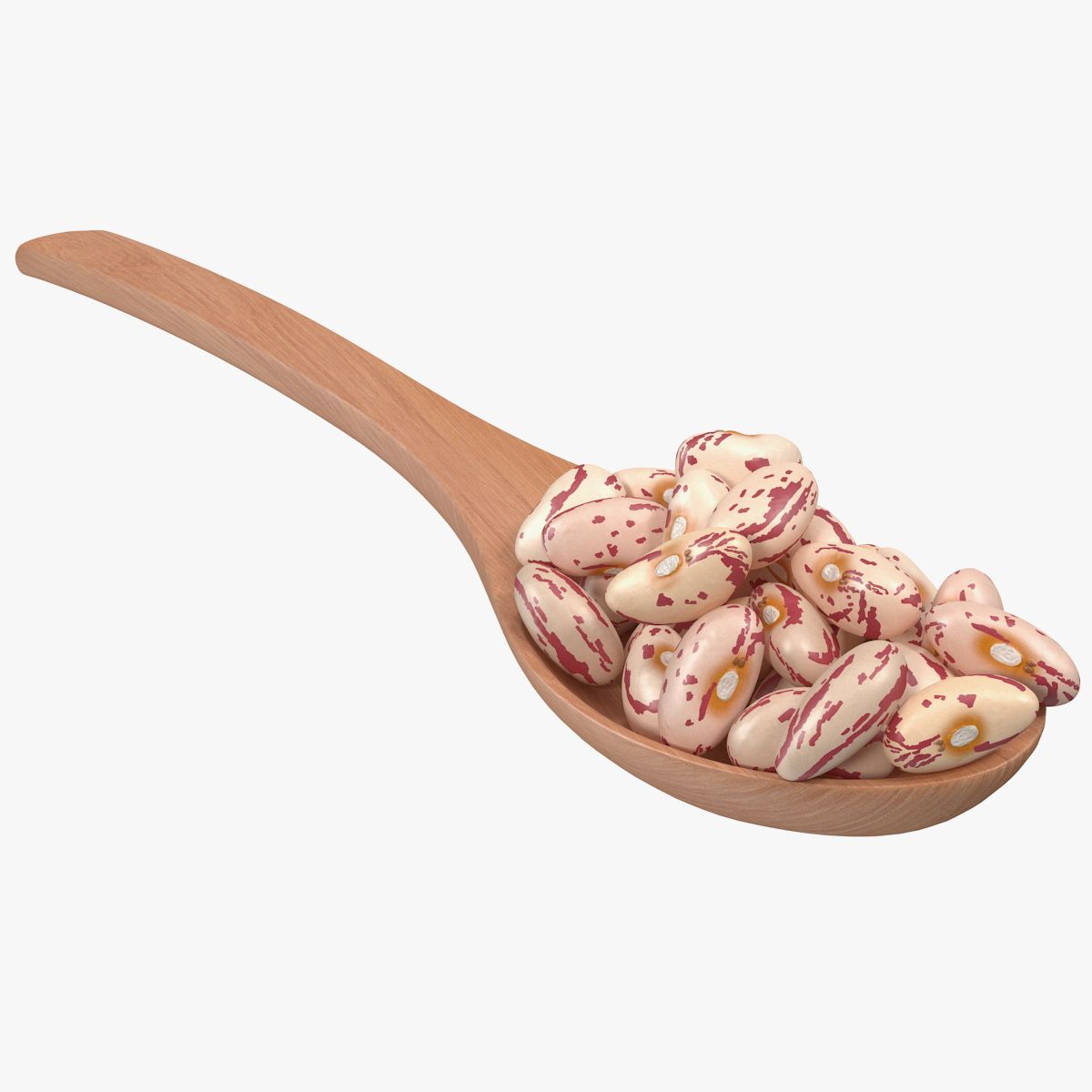 Roman Bean In a Wooden Spoon 3d model