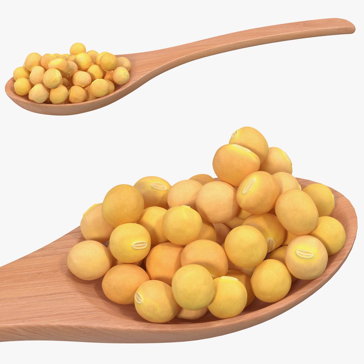 Soy Beans in Wooden Spoon 3d model