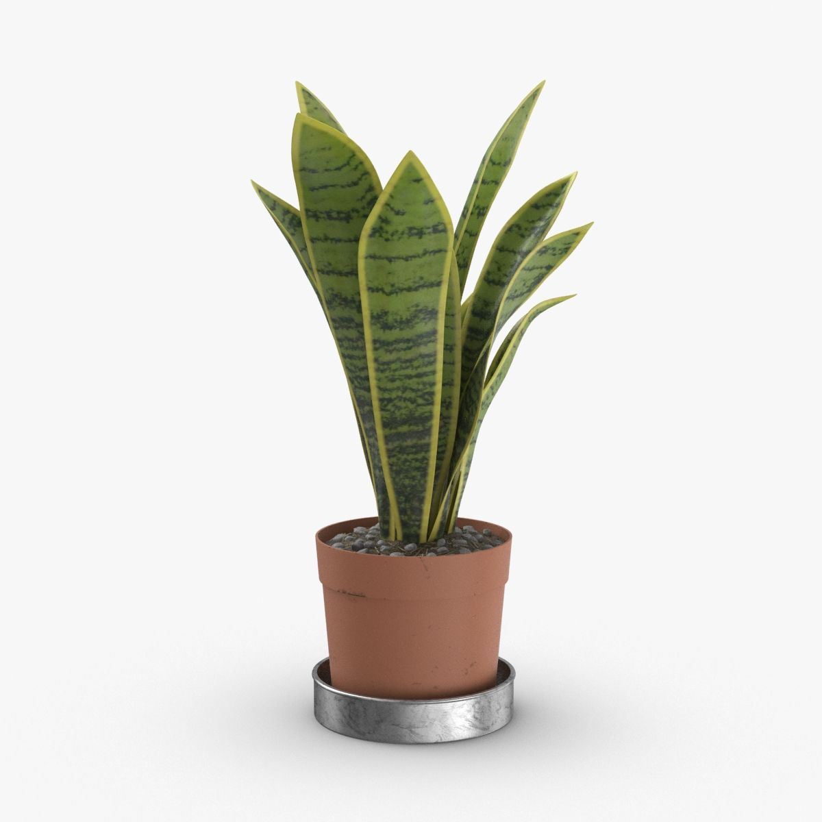 House Plant 01 3d model