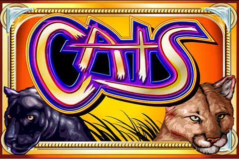 logo cats igt 