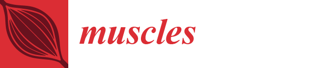 muscles-logo