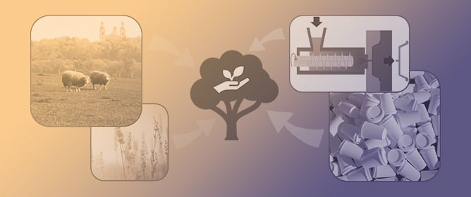 The Effect of Natural Plant and Animal Fibres on PLA Composites Degradation Process