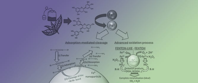 Leveraging the Potential of In Situ Green-Synthesized Zero-Valent Iron Nanoparticles (nZVI) for Advanced Oxidation of Clinical Dyes in Water