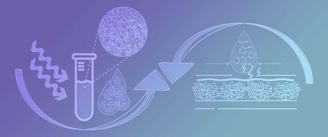 Enhanced Preparative-Scale Extraction from Gra&scaron;evina Grape Pomace Using Ultrasound-Assisted Extraction and Natural Deep Eutectic Solvents