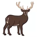 Colored deer