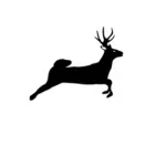 Deer jumping