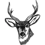 Deer head with horns vector image