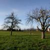 Aluguel de carro barato em Oberursel