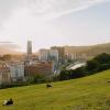 Alquiler de coche económico en Bilbao