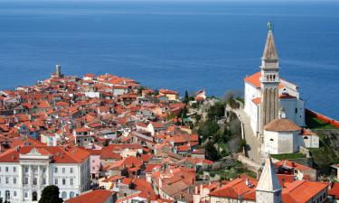 Car rental sa Piran