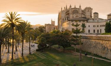 Letenky do destinácie Palma de Mallorca