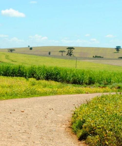 Uma linda vista de: Limeira