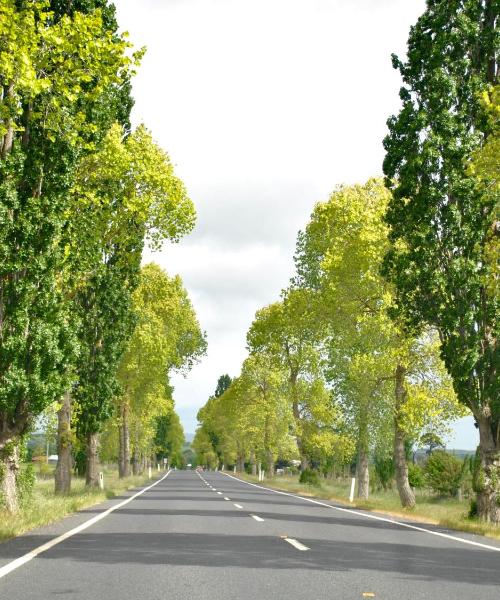 Pemandangan indah bagi Revesby