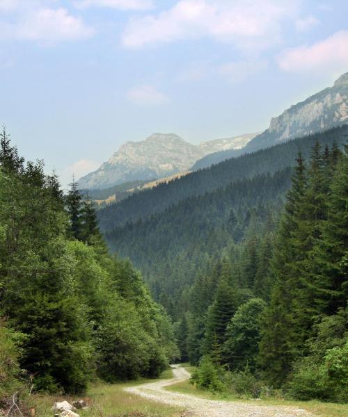 Una panoràmica bonica de Baia Mare