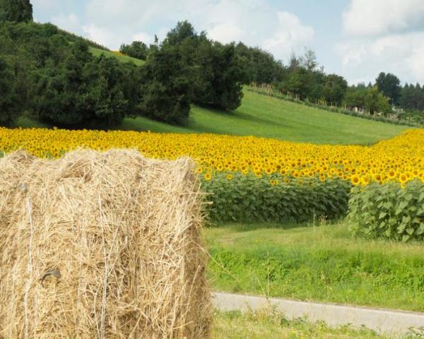 Praduro e Sasso şehrinden güzel bir manzara