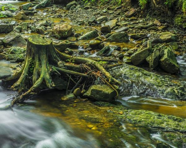 Vedere frumoasă la Wisla