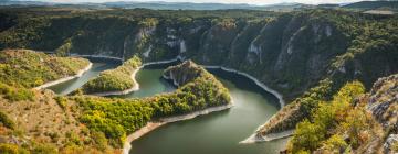 Flyg från Stockholm till Serbien