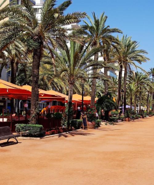 Quartier de Lloret de Mar où les voyageurs préfèrent séjourner.