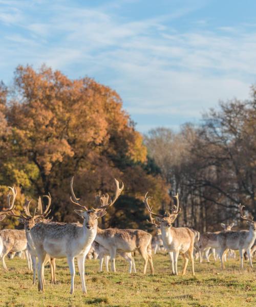 Um dos lugares mais visitados em Shrewsbury.