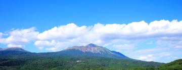 Flights to Kagoshima