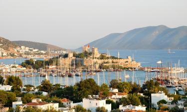 Mga flight papuntang Bodrum