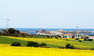 Letenky do regionu Jeju Island