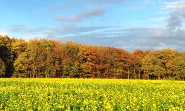 Voos para Flemish Brabant