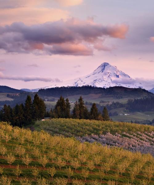 Vue imprenable sur : Oregon