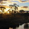 Alquiler de coche económico en Riverina