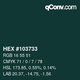 Color code: HEX #103733 | qconv.com