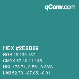 Color code: HEX #2E8B89 | qconv.com