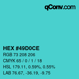 Color code: HEX #49D0CE | qconv.com