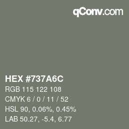 Code couleur: HEX #737A6C | qconv.com