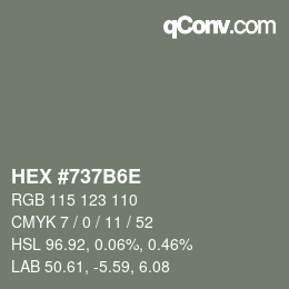 Código de color: HEX #737B6E | qconv.com