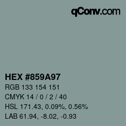 Color code: HEX #859A97 | qconv.com