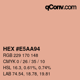 Color code: HEX #E5AA94 | qconv.com