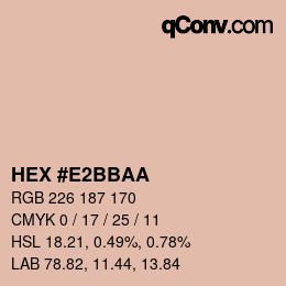 Color code: HEX #E2BBAA | qconv.com