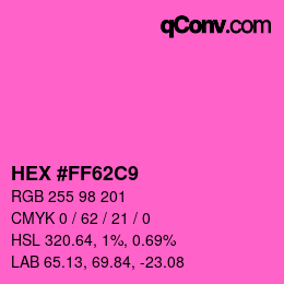 Color code: HEX #FF62C9 | qconv.com