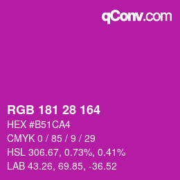 Color code: RGB 181 28 164 | qconv.com