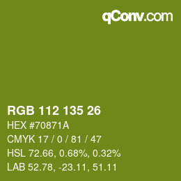 Código de color: RGB 112 135 26 | qconv.com