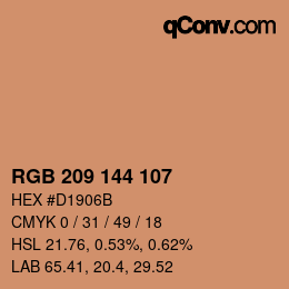 Color code: RGB 209 144 107 | qconv.com