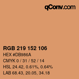 Color code: RGB 219 152 106 | qconv.com