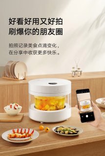 可以刷爆朋友圈的电饭锅