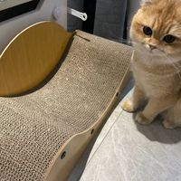 猫抓沙发终结者！憨憨乐园猫抓板猫窝一体登场