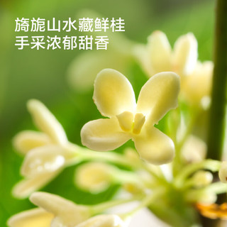 京东京造 桂花红茶15包 便携茶包金桂茶叶茶包袋泡茶可冷泡3g*15包