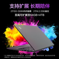 机械革命 无界14S 黑天鹅 14英寸轻薄本（i5-13420H、16GB、512GB）