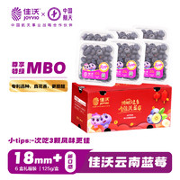 佳沃 云南当季蓝莓MBO系列 18mm+大果 6盒礼盒装 约125g/盒 生鲜水果