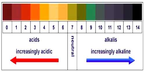 Measurement of pH