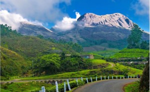 Munnar - One of the Best Tourist Places in Kerala