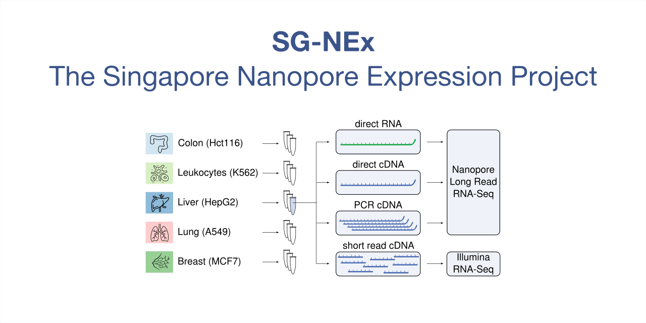 sg-nex-data